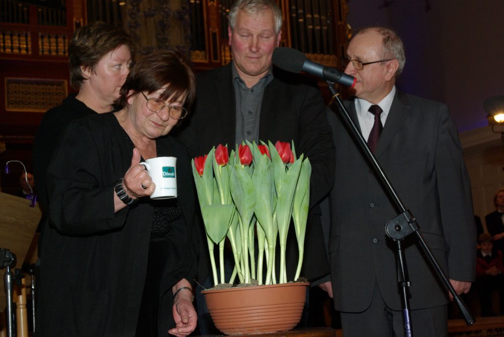 tulipany