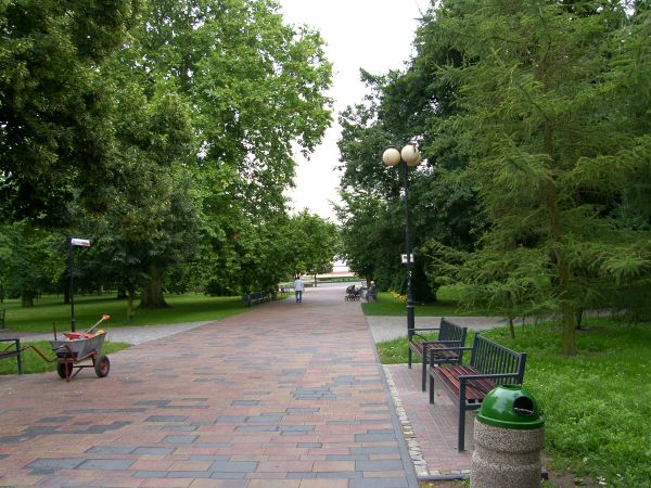 widok na alejkę parkową