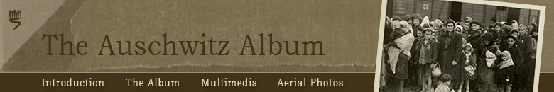 Auschwitz Album