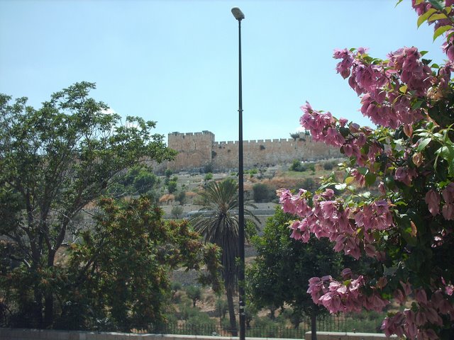 W Jerusalem jak i w całym Izraelu jest mnóstwo parków i zieleńców gdzie można spędzić czas przy grilowaniu