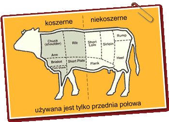 Koszer
