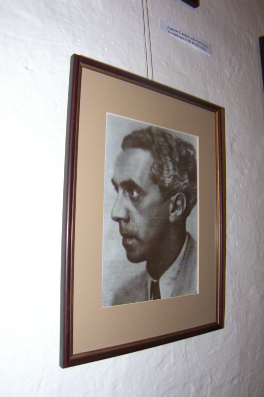 portret H.Tollera